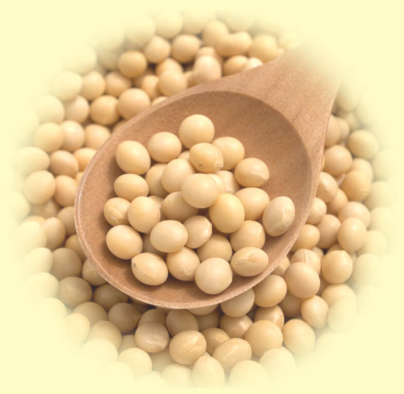 マメ・リズム スポーツ