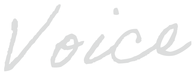 ボイス